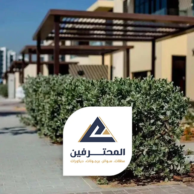 تنسيق حدائق منزلية صغيرة بجدة