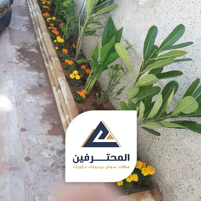 منسق حدائق بجدة