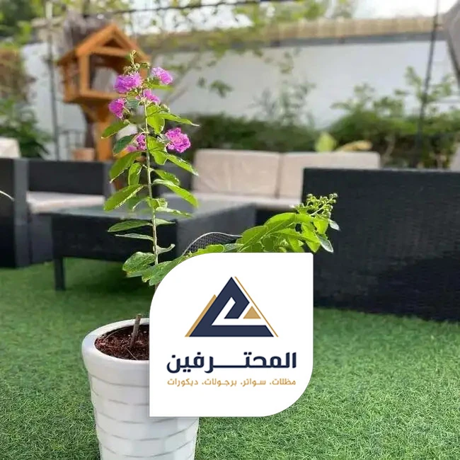 منسق حدائق منزلية بجدة