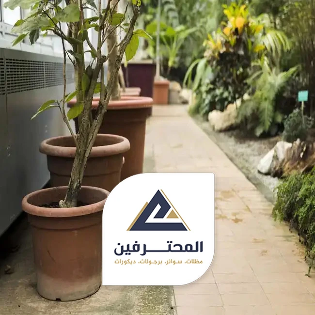 تنسيق حدائق تحت الدرج بجده