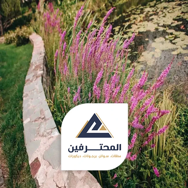 تجهيز حدائق منزلية بجده