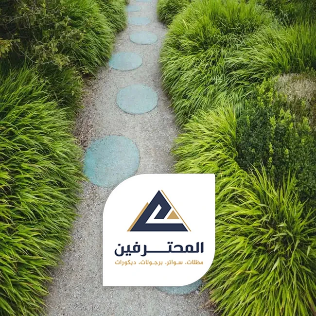 ترتيب الحوش بالعشب بجده