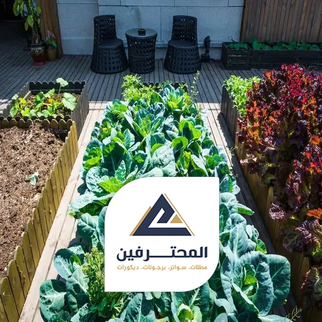 منسق حدائق منزلية بجده