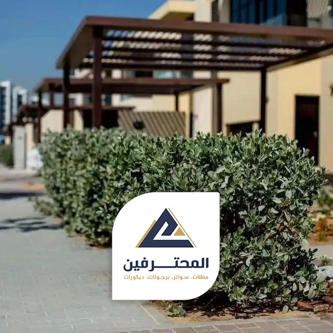 اسعار تنسيق الحدائق في جدة