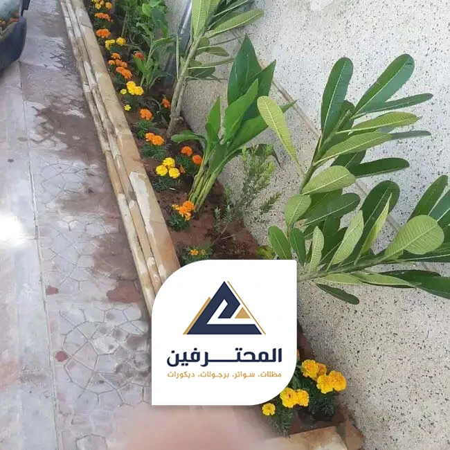 ترتيب الحوش بالعشب بجدة