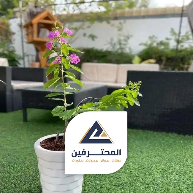 مظلات حدائق عامة