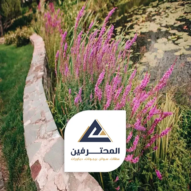 تنسيق حدائق فلل في جدة