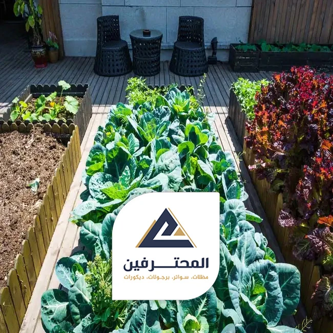 محل تنسيق حدائق في جدة